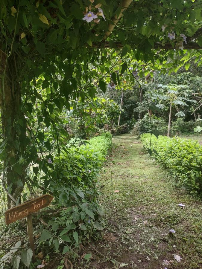 Finca Mystica Mérida Extérieur photo
