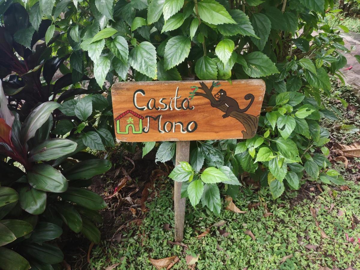 Finca Mystica Mérida Extérieur photo
