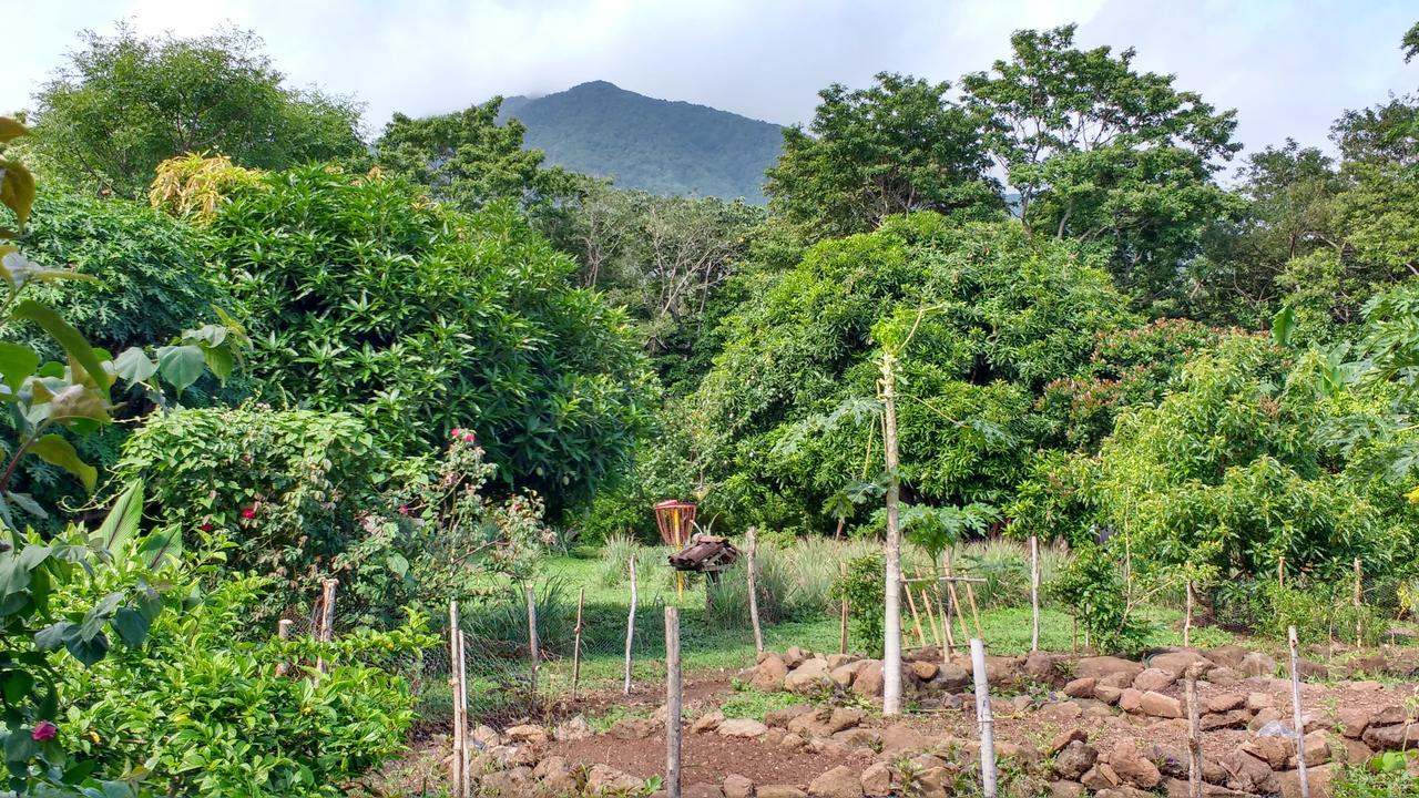 Finca Mystica Mérida Extérieur photo