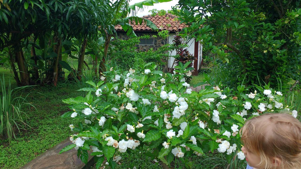 Finca Mystica Mérida Extérieur photo