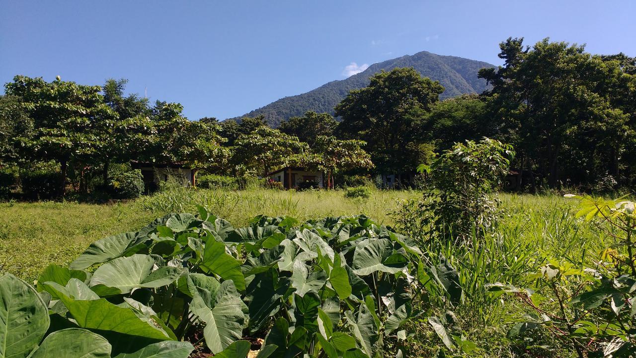 Finca Mystica Mérida Extérieur photo